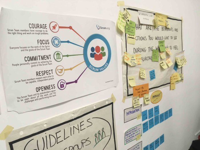 Capacità e competenze della Product Ownership professionale