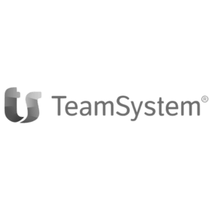 TeamSystem_grayscale